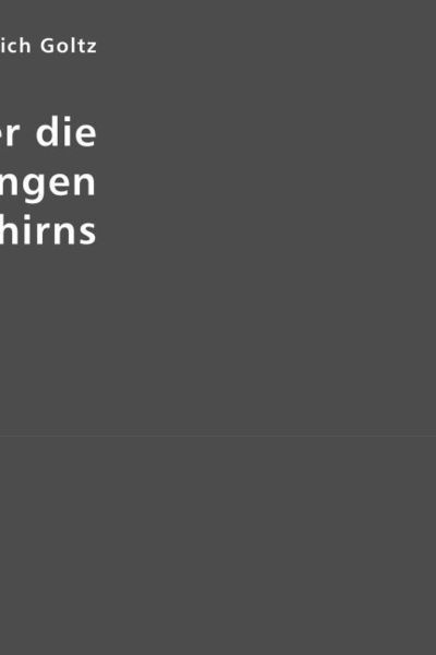 Produktbild: &Uuml;ber die Verrichtungen des Gro&szlig;hirns