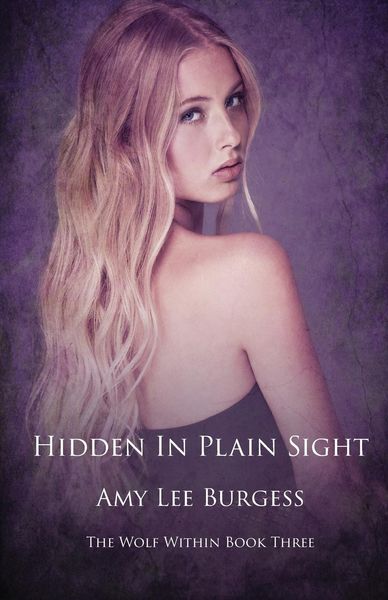 Produktbild: Hidden in Plain Sight