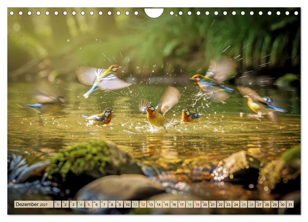 Produktbild: Farbenfrohe Singv&ouml;gel beim Baden (Wandkalender 2027 DIN A4 quer), CALVENDO Monatskalender