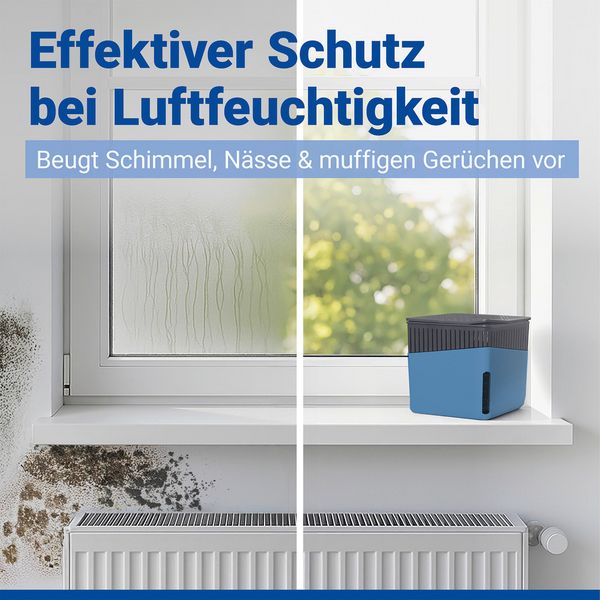 Produktbild: Raumentfeuchter Mod. Cube Blau 1000 g, 2er Set, beugt Schimmel und Ger&uuml;chen vor