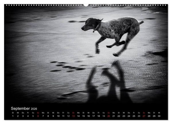 Produktbild: Das Licht in Schwarz und Wei&szlig; (hochwertiger Premium Wandkalender 2026 DIN A2 quer), Kunstdruck in Hochglanz