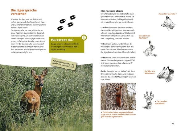 Produktbild: Das Jagdbuch f&uuml;r Kids