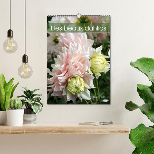 Produktbild: Des beaux dahlias (Calendrier mural 2026 DIN A3 horizontal), CALVENDO calendrier mensuel