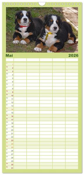 Produktbild: Familienplaner 2026 - Rasselbande mit 40 Pfoten mit 5 Spalten (Wandkalender, 21 x 45 cm) CALVENDO