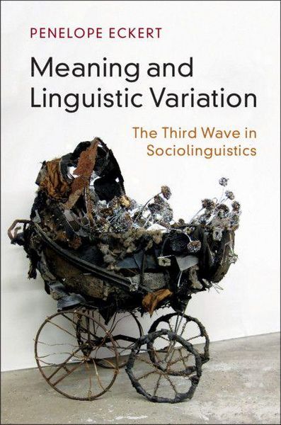 Produktbild: Meaning and Linguistic Variation