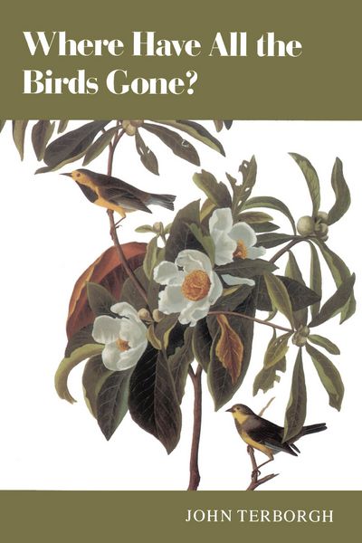 Produktbild: Where Have All the Birds Gone?