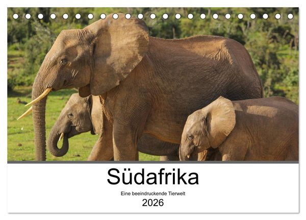 Produktbild: S&uuml;dafrika - Eine beeindruckende Tierwelt (Tischkalender 2026 DIN A5 quer), CALVENDO Monatskalender