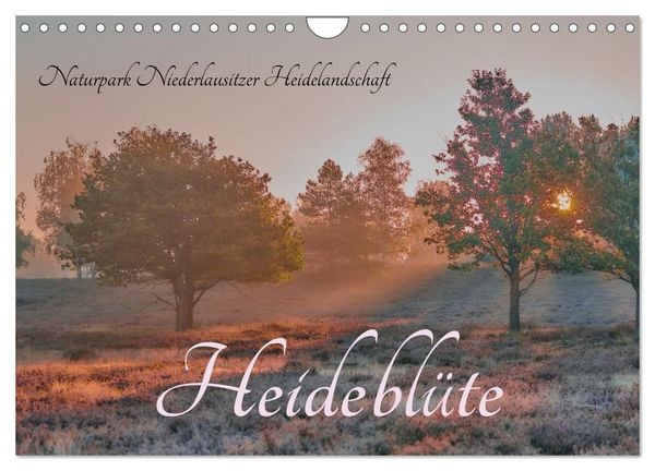 Naturpark Niederlausitzer Heidelandschaft - Heideblüte (Wandkalender 2026 DIN A4 quer), CALVENDO Monatskalender