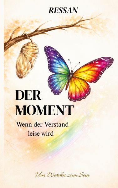 Produktbild: Der Moment - Wenn der Verstand leise wird