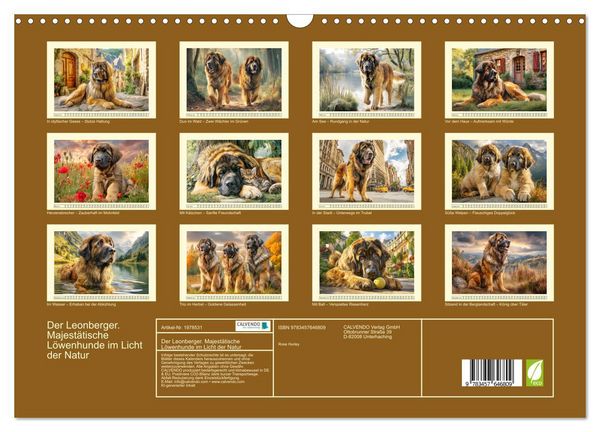Produktbild: Der Leonberger. Majest&auml;tische L&ouml;wenhunde im Licht der Natur (Wandkalender 2026 DIN A3 quer), CALVENDO Monatskalender
