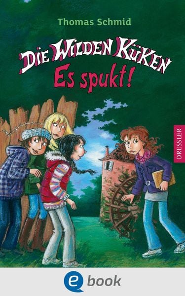 Produktbild: Die Wilden K&uuml;ken 4. Es spukt!