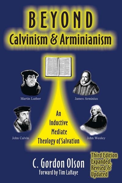 Produktbild: Beyond Calvinism and Arminianism