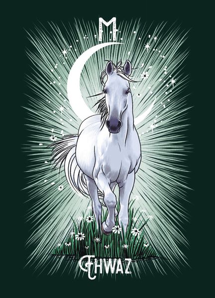 Produktbild: Das Krafttiere Runen Orakel