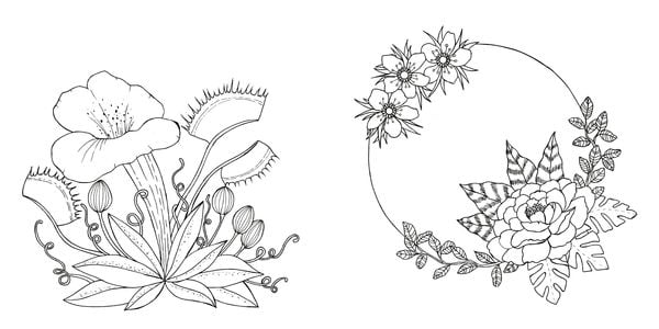 Produktbild: Tropical Flowers &ndash; Exotische Blumen- und Pflanzen-Motive ausmalen