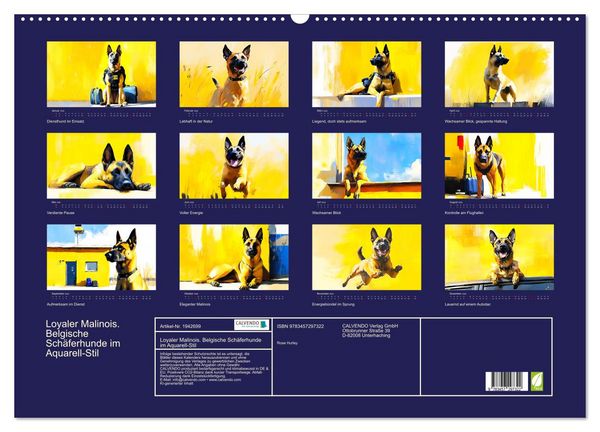 Produktbild: Loyaler Malinois. Belgische Sch&auml;ferhunde im Aquarell-Stil (Wandkalender 2026 DIN A2 quer), CALVENDO Monatskalender