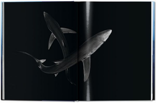 Produktbild: Michael Muller. Squali