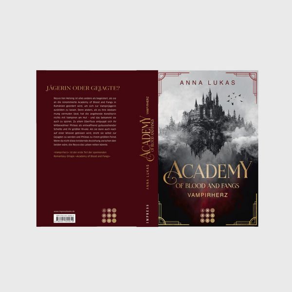 Produktbild: Academy of Blood and Fangs 1: Vampirherz