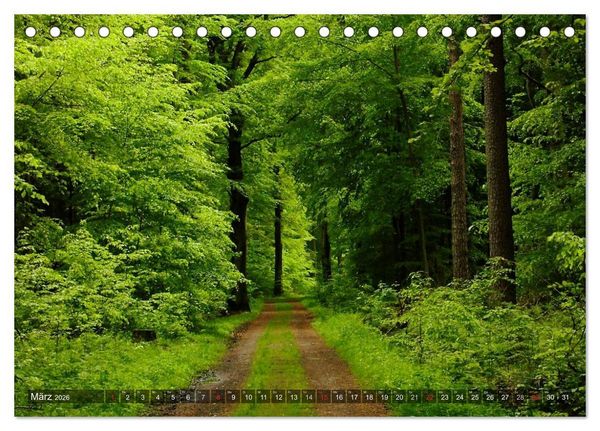 Produktbild: Feng Shui Farben - Element: Holz (Tischkalender 2026 DIN A5 quer), CALVENDO Monatskalender
