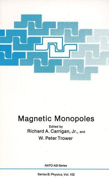 Produktbild: Magnetic Monopoles