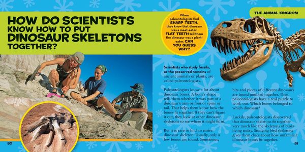 Produktbild: National Geographic Little Kids First Big Book of How