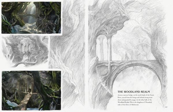 Produktbild: A Middle-Earth Traveller