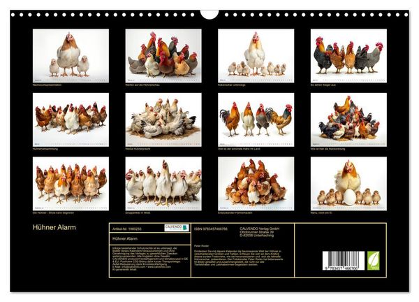 Produktbild: H&uuml;hner Alarm (Wandkalender 2026 DIN A3 quer), CALVENDO Monatskalender