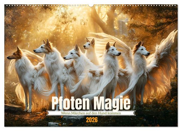 Produktbild: Pfoten Magie (Wandkalender 2026 DIN A2 quer), CALVENDO Monatskalender
