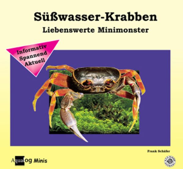 Mein Zwergkrallenfrosch, Taschenbuch von Frank Schäfer, A.C.S., 978-3-936027-29-7
