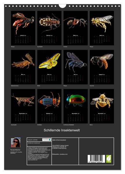Produktbild: Schillernde Insektenwelt (Wandkalender 2026 DIN A3 hoch), CALVENDO Monatskalender