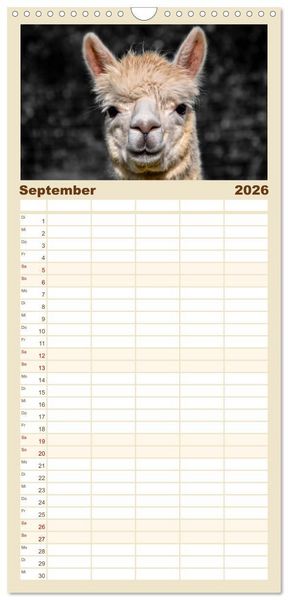 Produktbild: Familienplaner 2026 - Alpaka Gesichter mit 5 Spalten (Wandkalender, 21 x 45 cm) CALVENDO