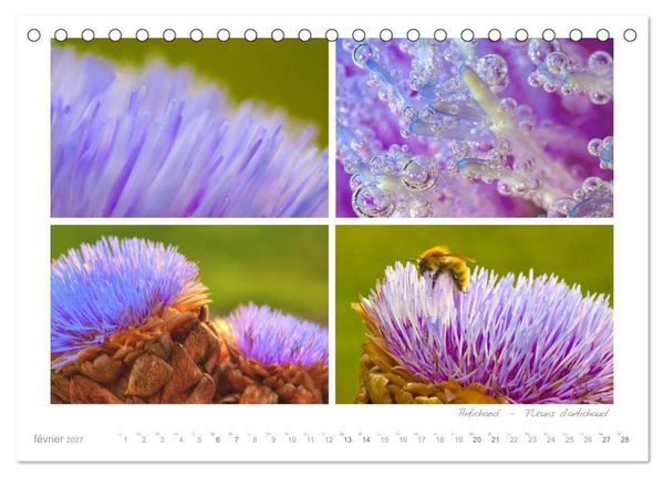 Produktbild: R&ecirc;ves de Bretagne - Breizh (Calendrier de bureau 2027 DIN A5 vertical), CALVENDO calendrier mensuel