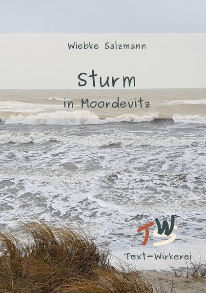 Produktbild: Sturm in Moordevitz