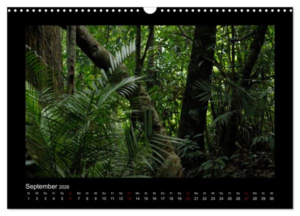 Produktbild: SUMATRA Abenteuer Regenwald (Wandkalender 2026 DIN A3 quer), CALVENDO Monatskalender
