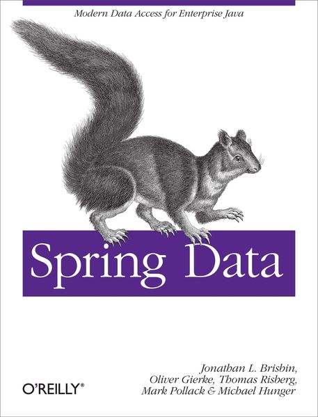 Produktbild: Spring Data