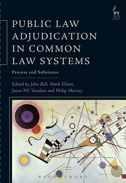 Produktbild: Public Law Adjudication in Common Law Systems