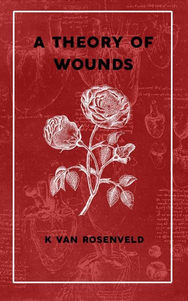 Produktbild: A Theory of Wounds