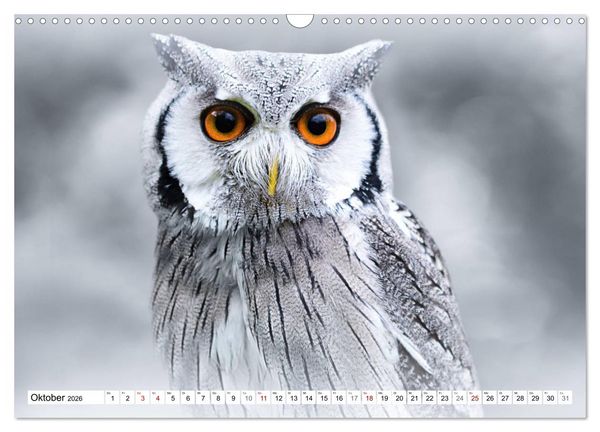 Produktbild: Erfolgreiche J&auml;ger (Wandkalender 2026 DIN A3 quer), CALVENDO Monatskalender