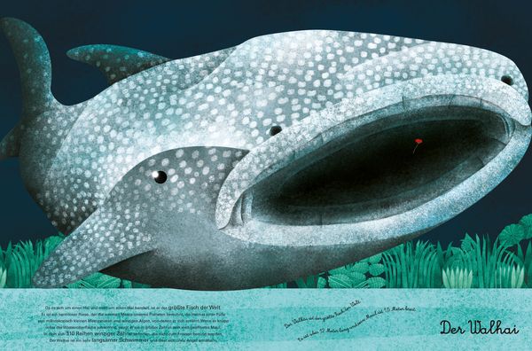 Produktbild: Das gro&szlig;e Buch der riesigen Tiere. Das kleine Buch der winzigen Tiere
