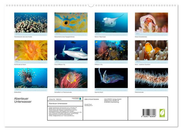 Produktbild: Abenteuer Unterwasser (hochwertiger Premium Wandkalender 2026 DIN A2 quer), Kunstdruck in Hochglanz