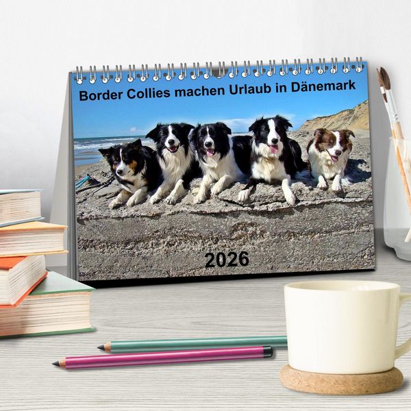 Produktbild: Border Collies machen Urlaub in D&auml;nemark (Tischkalender 2026 DIN A5 quer), CALVENDO Monatskalender