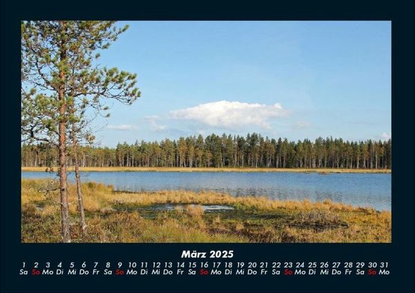 Produktbild: Waldzauber 2025 Fotokalender DIN A4