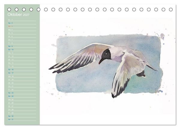 Produktbild: M&ouml;wen - Aquarelle von Julia Pasinski (Tischkalender 2027 DIN A5 quer), CALVENDO Monatskalender