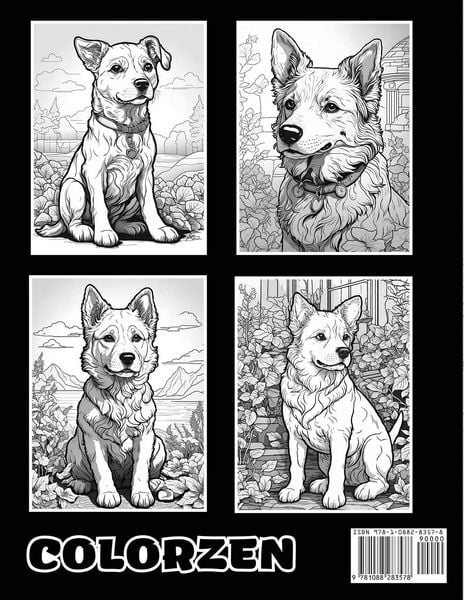Produktbild: Paws and Paint