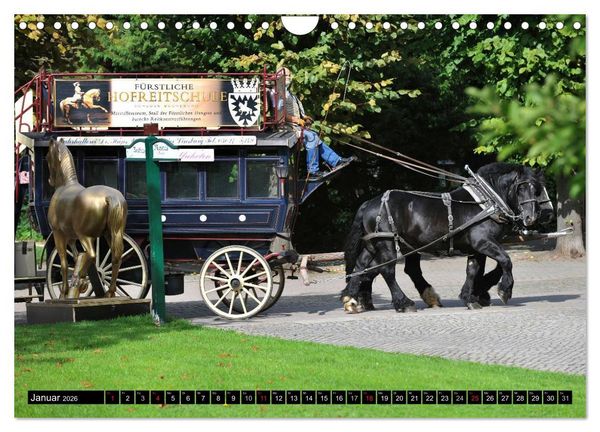 Produktbild: Traumpferde - F&uuml;rstliche Hofreitschule B&uuml;ckeburg (Wandkalender 2026 DIN A4 quer), CALVENDO Monatskalender