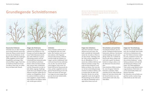 Produktbild: Pflanzenschnitt