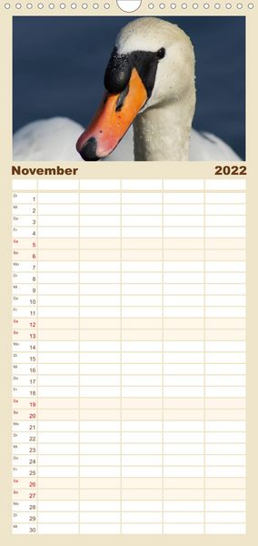 Produktbild: Das faszinierende Leben der Schw&auml;ne - Familienplaner hoch (Wandkalender 2022 , 21 cm x 45 cm, hoch)