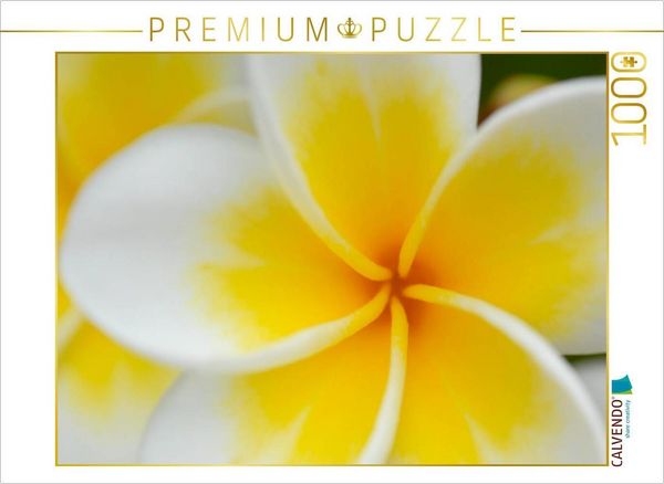 CALVENDO Puzzle Ein Motiv aus dem Kalender Tropischer Blütentraum | 1000 Teile Lege-Größe 64 × 48 cm Foto-Puzzle für glückliche Stunden