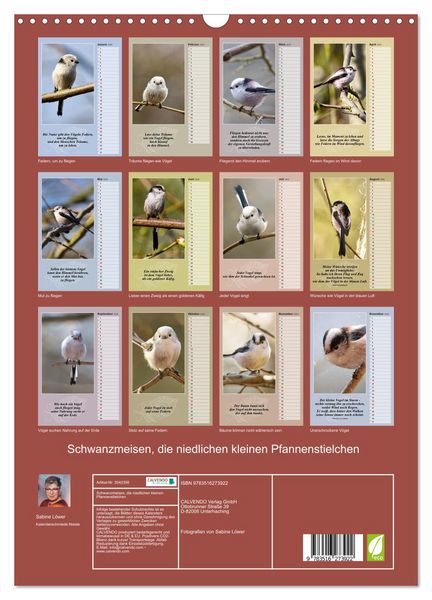 Produktbild: Schwanzmeisen, die niedlichen kleinen Pfannenstielchen (Wandkalender 2026 DIN A3 hoch), CALVENDO Monatskalender