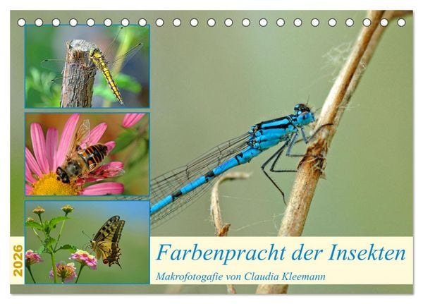 Produktbild: Farbenpracht der Insekten (Tischkalender 2026 DIN A5 quer), CALVENDO Monatskalender