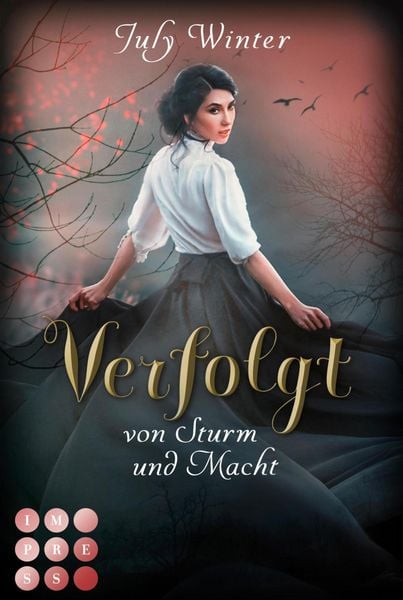 Produktbild: Verfolgt von Sturm und Macht (Sturmwanderer 1)